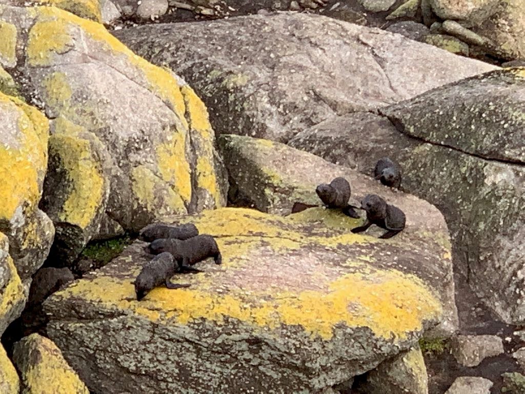 Harvey's Made it to the Bottom on his 1930's HRD Vincent